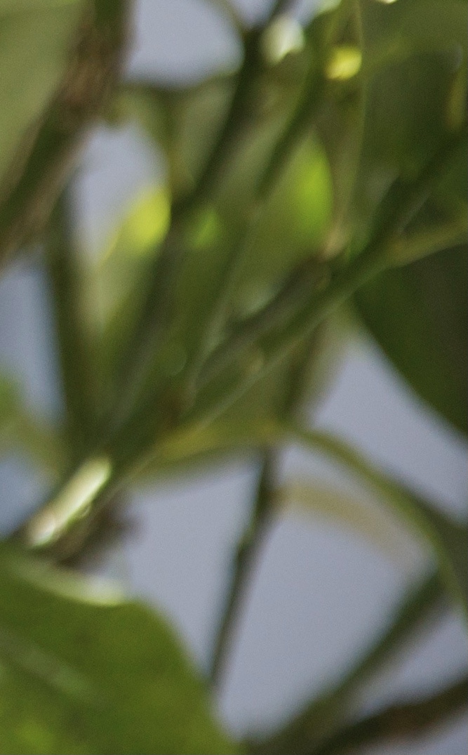 4c390987f08d555ba43f3d42f2d61fe8.jpeg